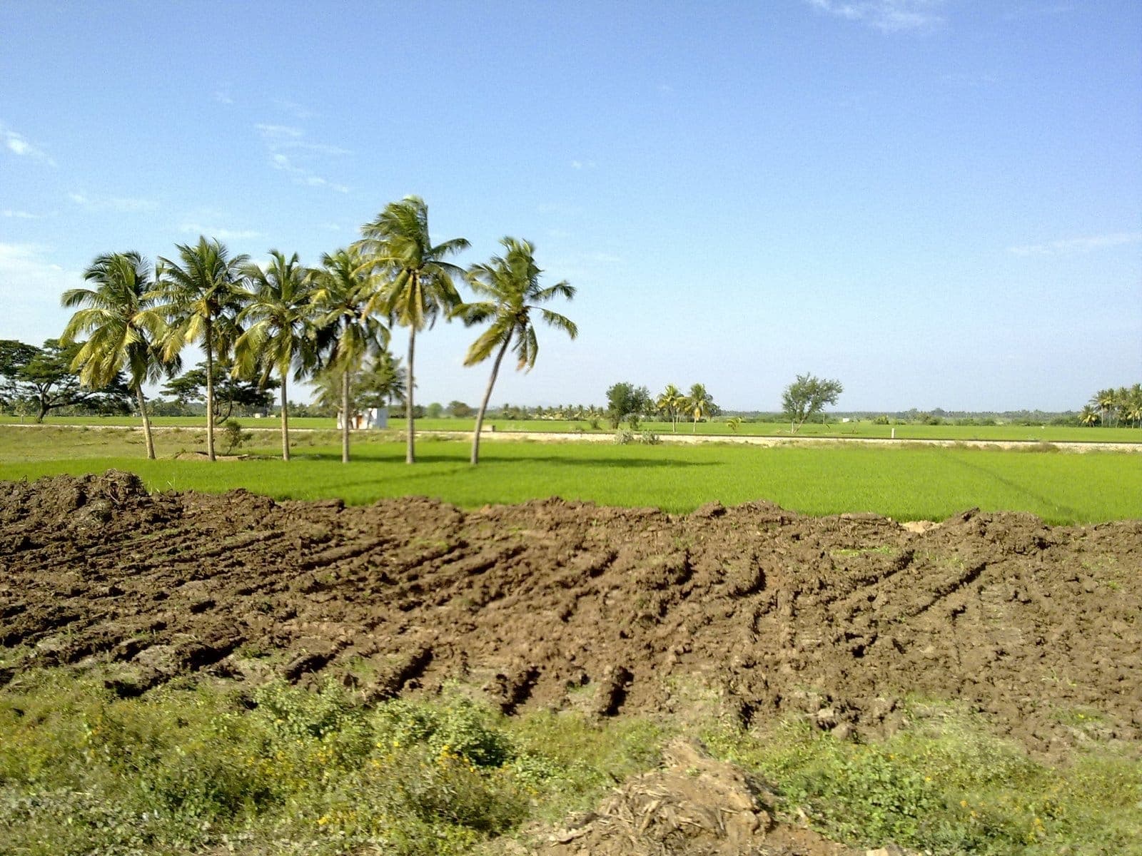 ஈசநத்தத்தின் இயற்கை எழில் 2008 - ஒரு புகைப்படப் பயணம்