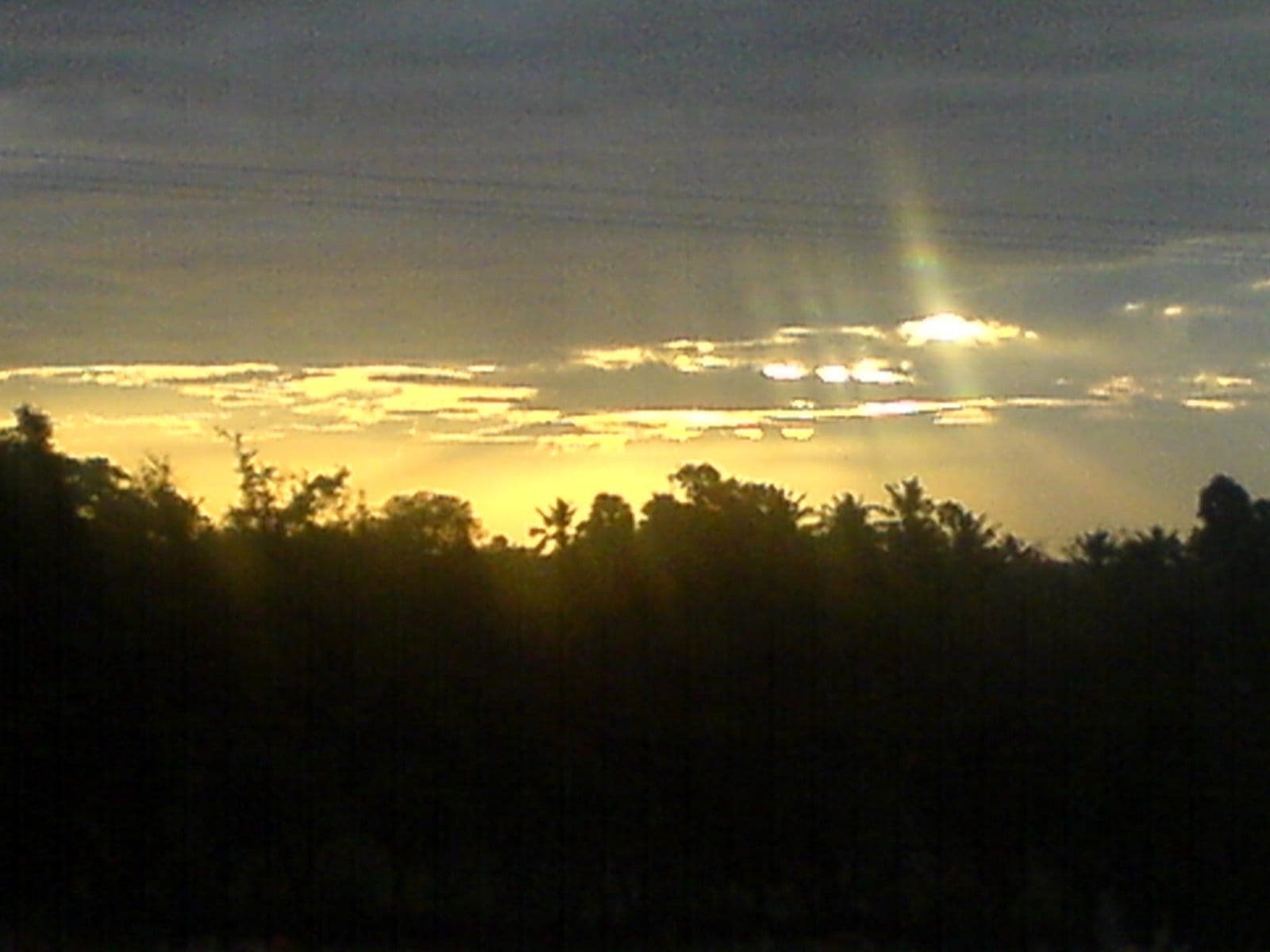 The Natural Beauty of Esanatham in 2008