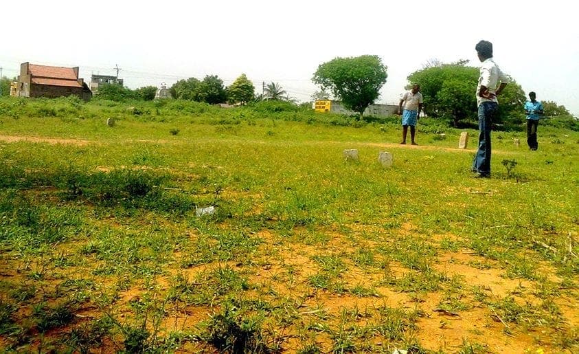 The Natural Beauty of Esanatham in 2011