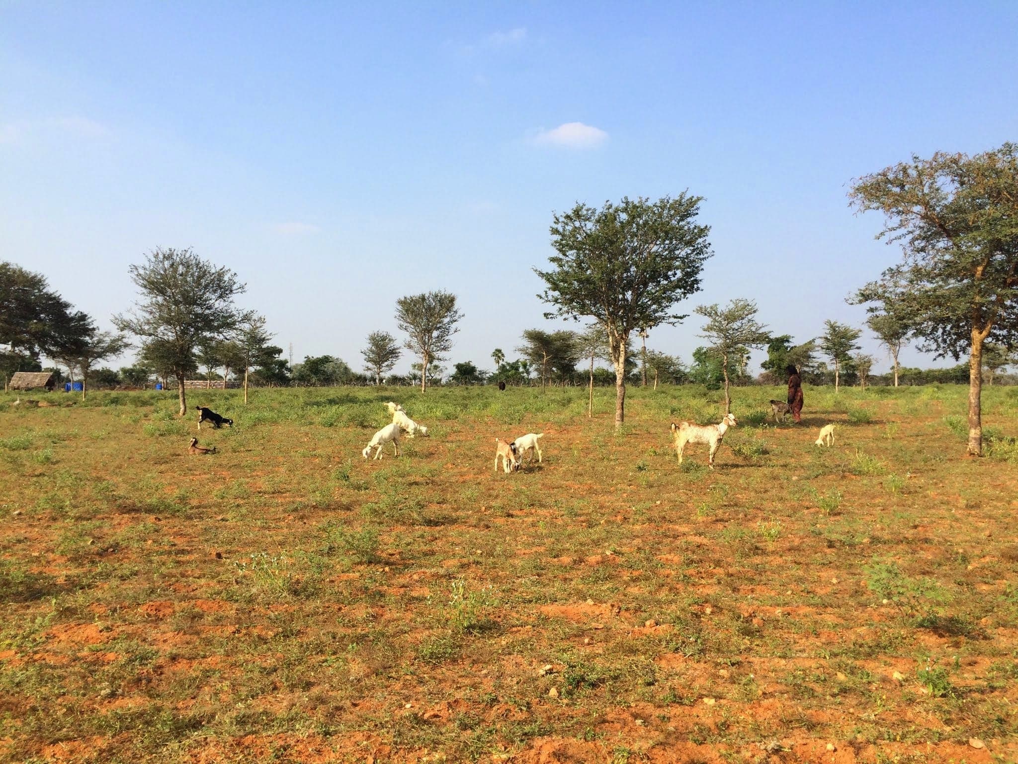 The Natural Beauty of Esanatham in 2015