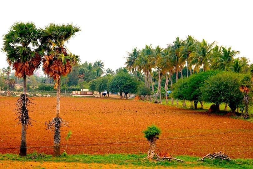 ஈசநத்தத்தின் இயற்கை எழில் 2016 - ஒரு புகைப்படப் பயணம்