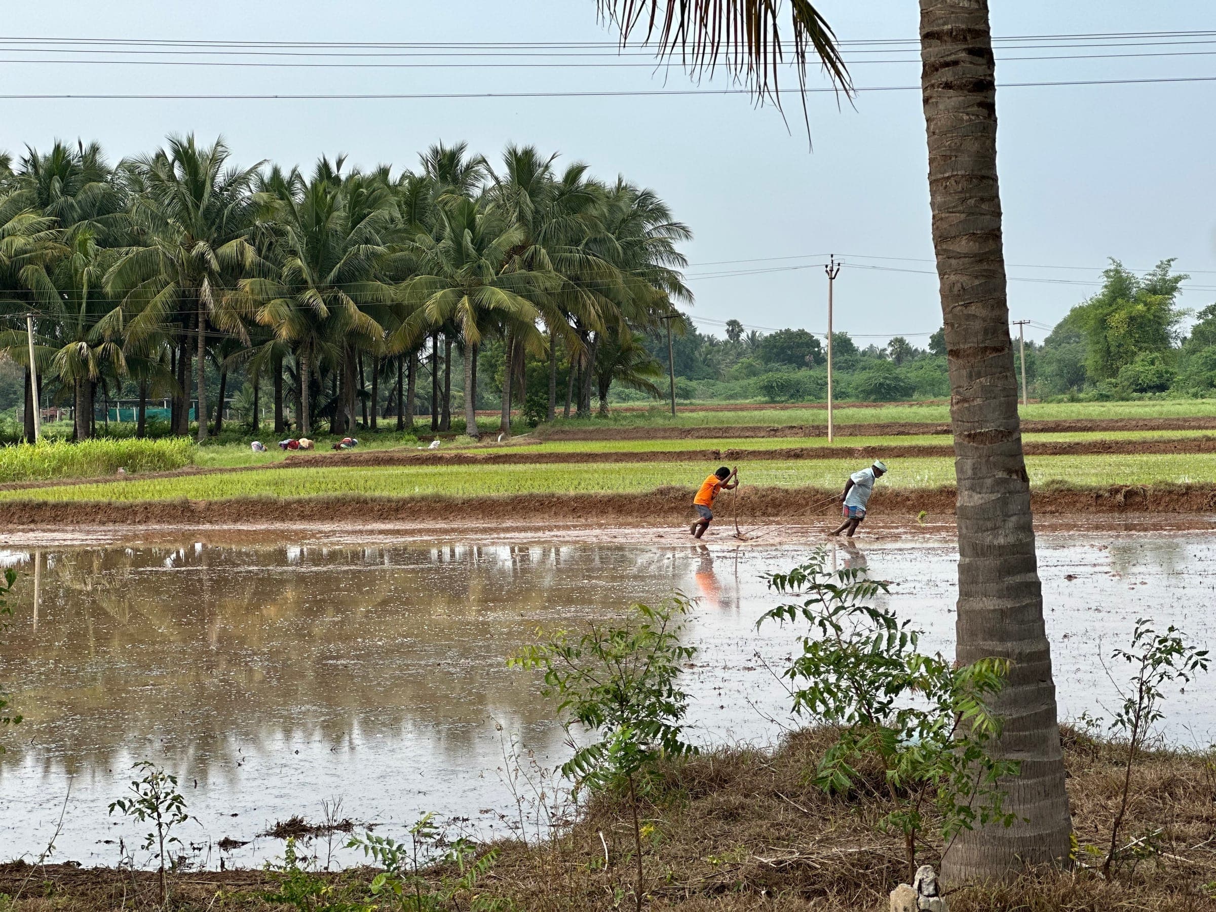 ஈசநத்தத்தின் இயற்கை எழில் 2024 - ஒரு புகைப்படப் பயணம்