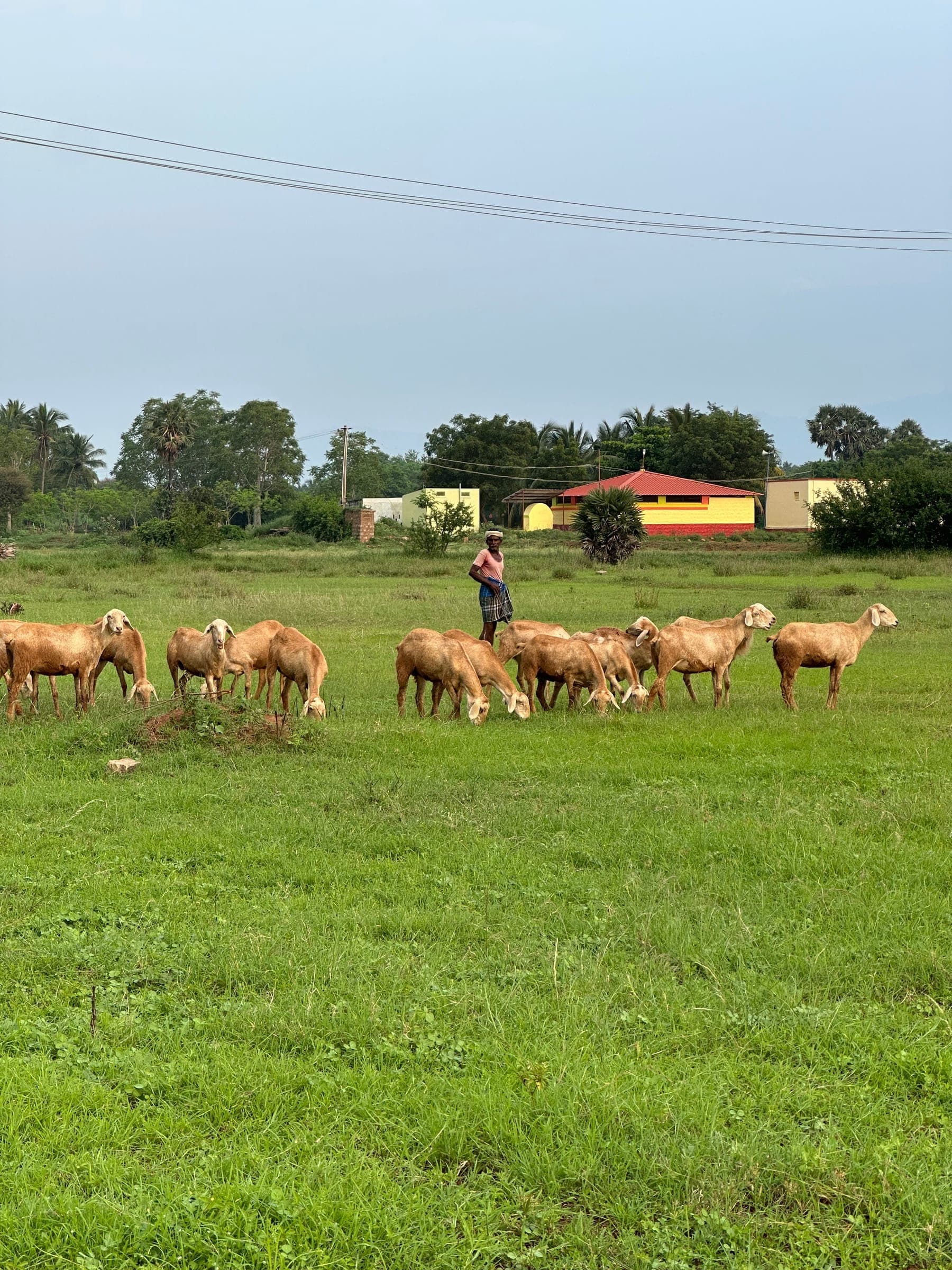 The Natural Beauty of Esanatham in 2024